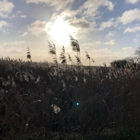 Refugium Raabenhorst Im Landhaus Am Haff Stolpe auf Usedom Exterior photo
