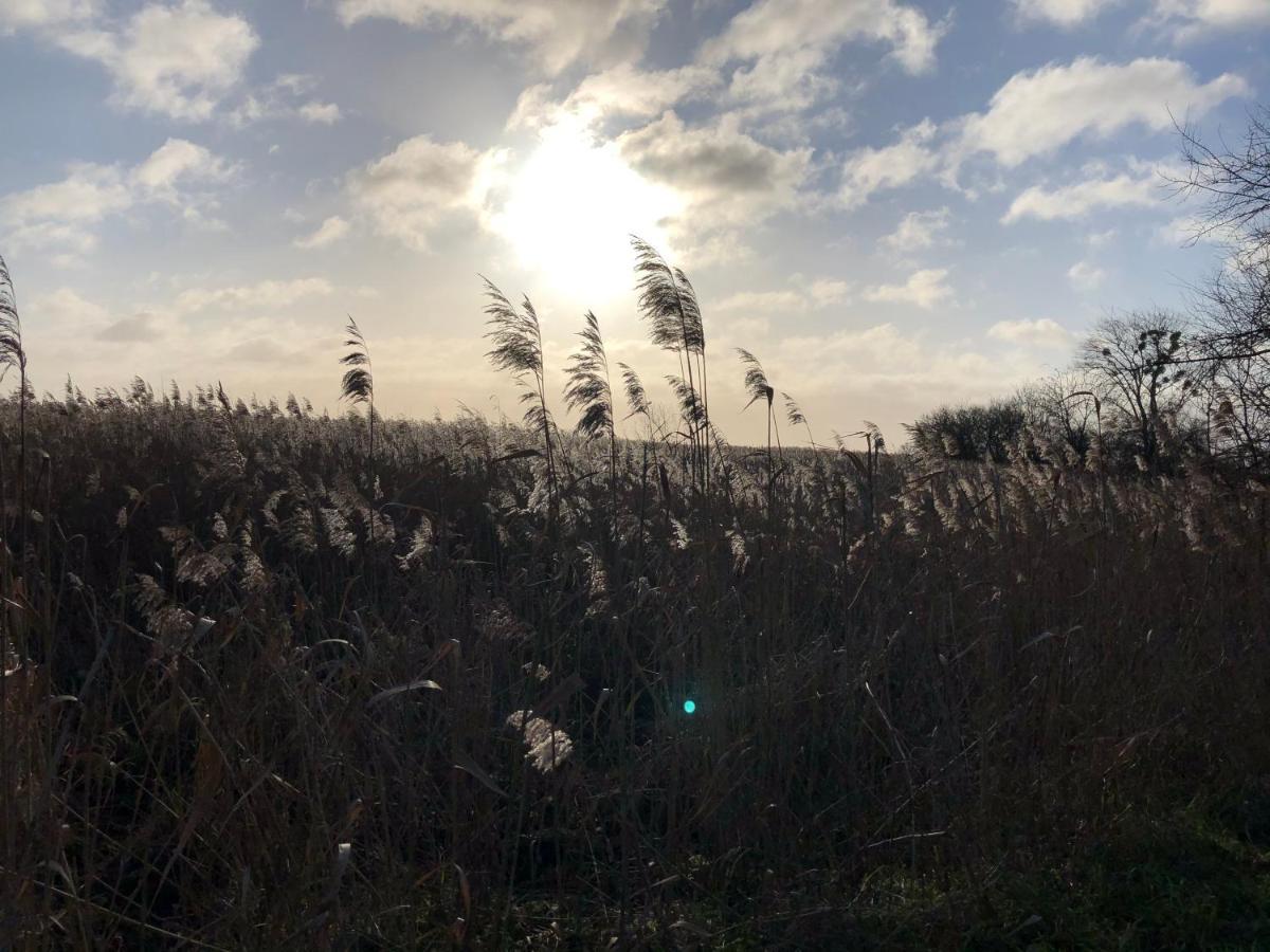 Refugium Raabenhorst Im Am Haff Stolpe auf Usedom